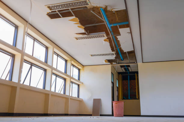 Best Water damage contractors near me  in Nesquehoning, PA