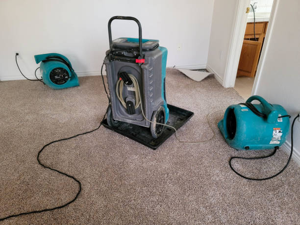 Best Flooded house restoration  in Nesquehoning, PA