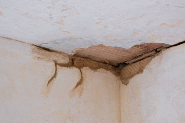 Best Flood restoration services  in Nesquehoning, PA