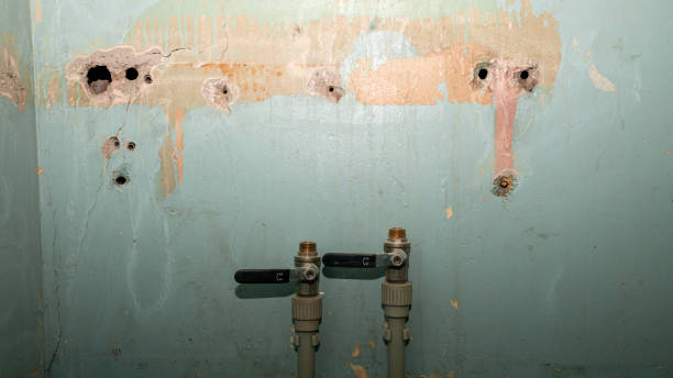 Best Water damage cleanup near me  in Nesquehoning, PA