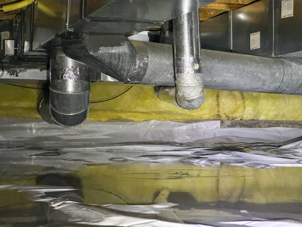 Best Sewage cleanup and water damage restoration  in Nesquehoning, PA