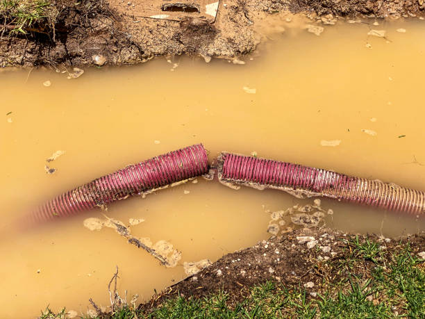 Best Local water damage restoration  in Nesquehoning, PA